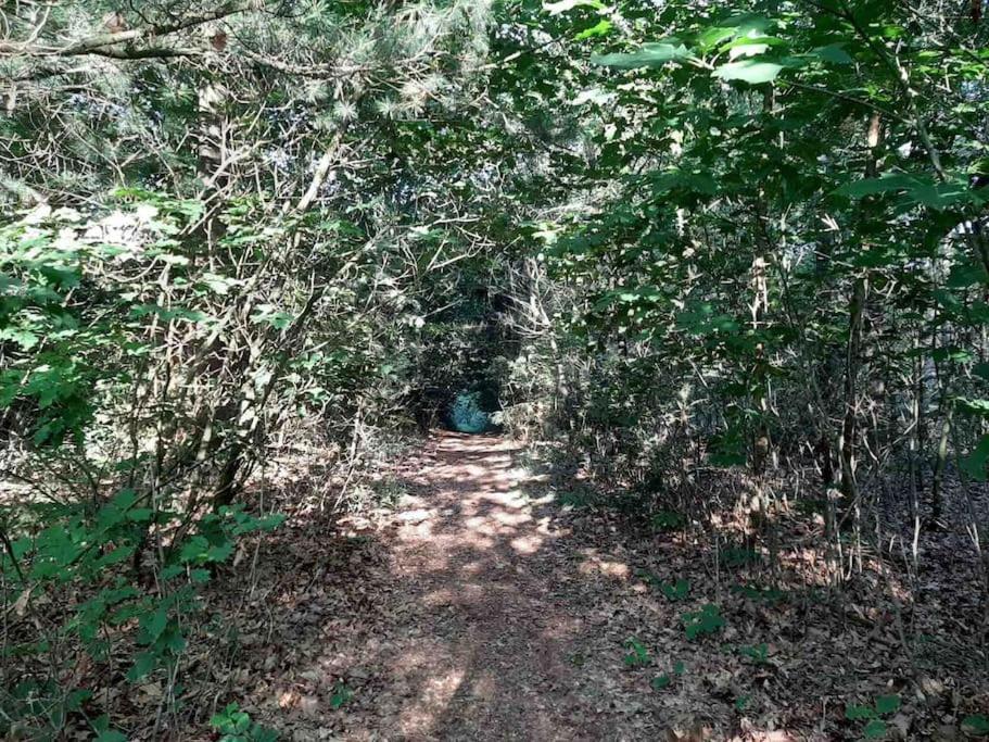 Vakantiehuis Eikzicht Gelegen Aan Het Bos Elsloo  Extérieur photo