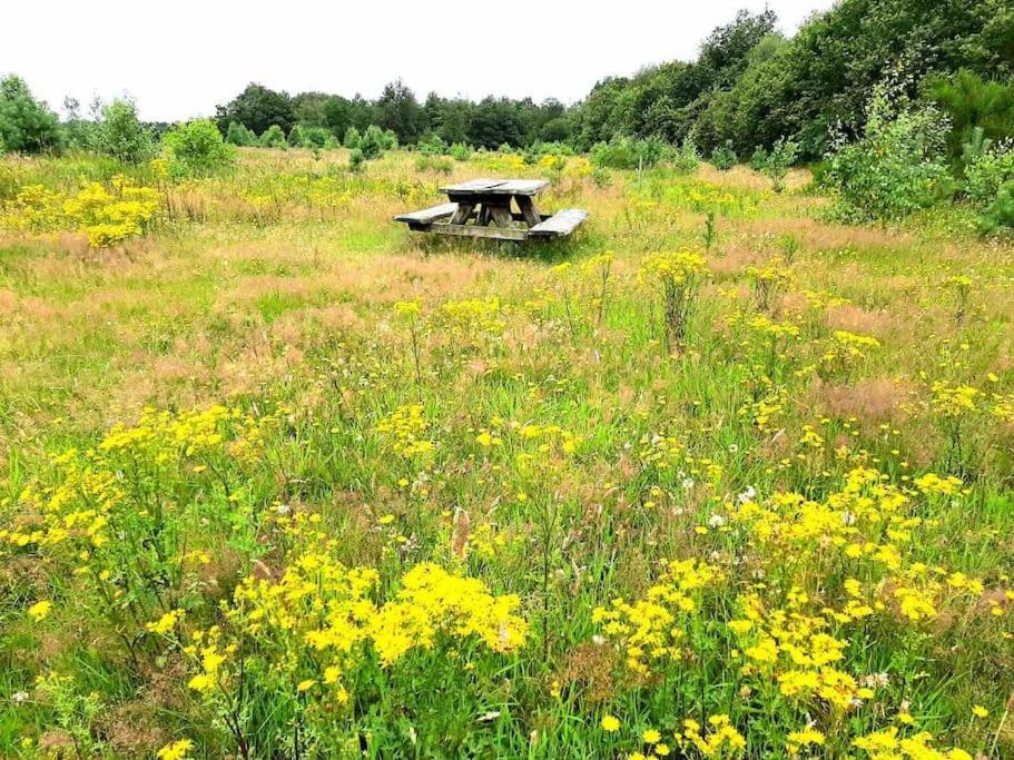 Vakantiehuis Eikzicht Gelegen Aan Het Bos Elsloo  Extérieur photo