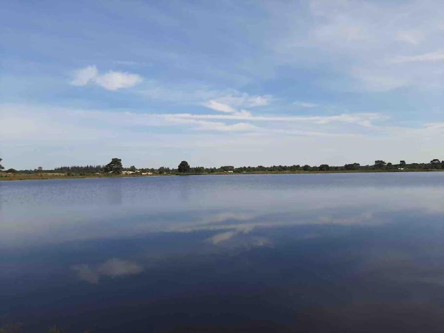 Vakantiehuis Eikzicht Gelegen Aan Het Bos Elsloo  Extérieur photo