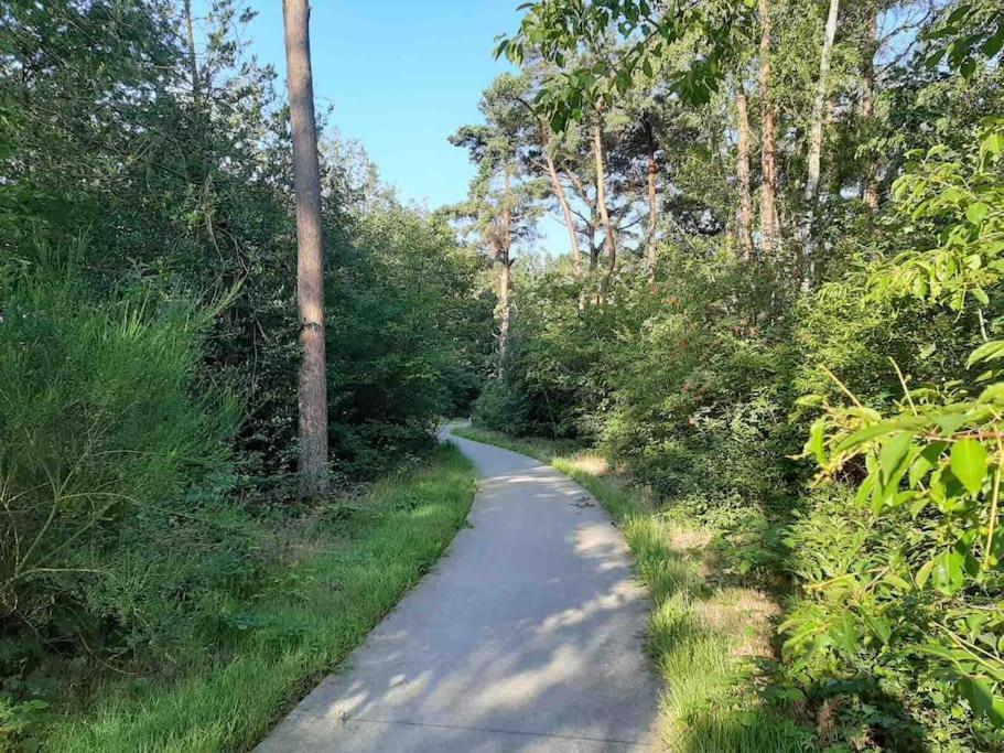 Vakantiehuis Eikzicht Gelegen Aan Het Bos Elsloo  Extérieur photo