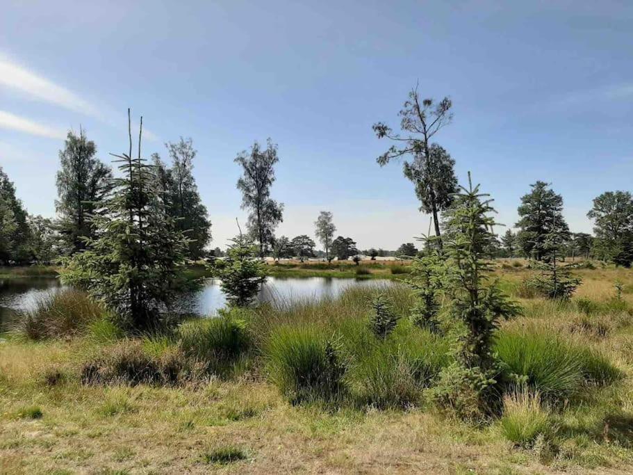 Vakantiehuis Eikzicht Gelegen Aan Het Bos Elsloo  Extérieur photo