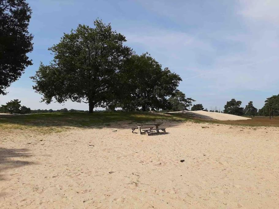 Vakantiehuis Eikzicht Gelegen Aan Het Bos Elsloo  Extérieur photo