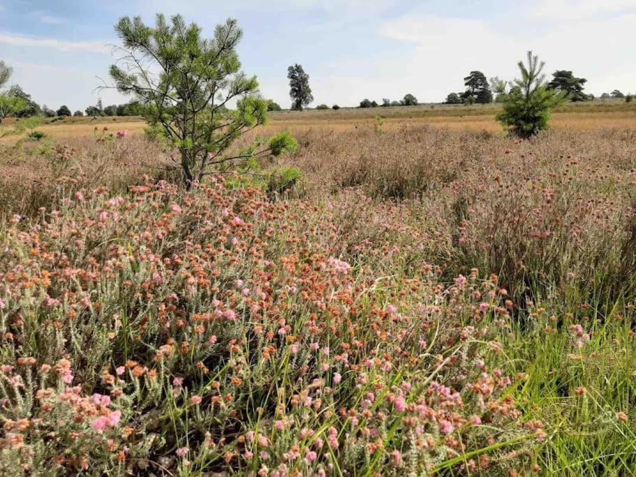 Vakantiehuis Eikzicht Gelegen Aan Het Bos Elsloo  Extérieur photo