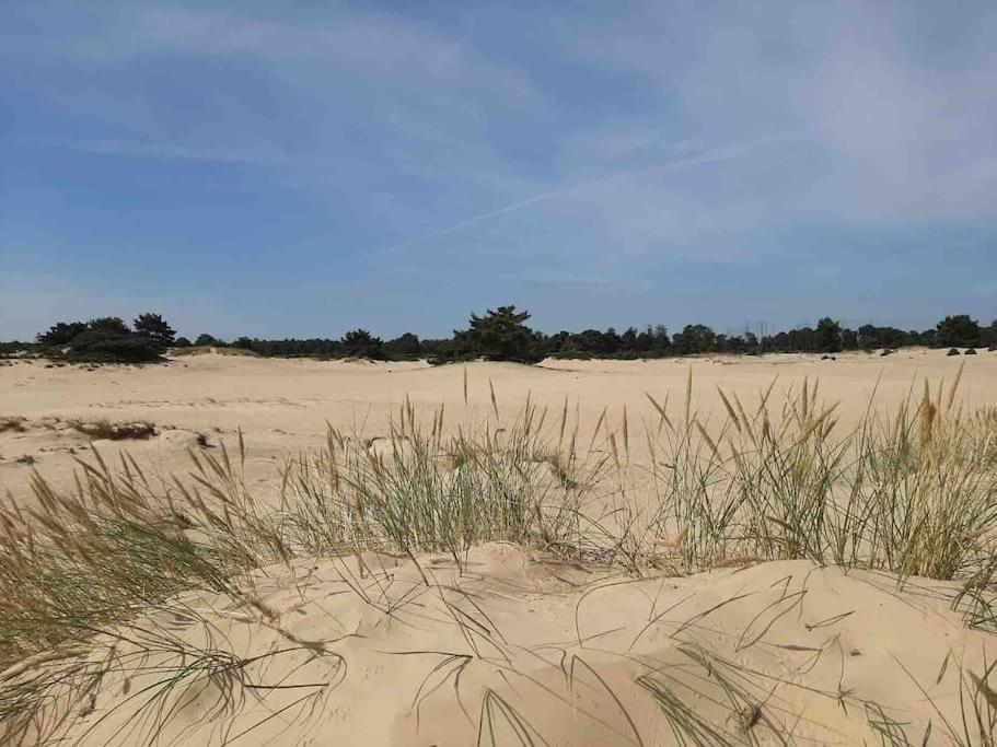 Vakantiehuis Eikzicht Gelegen Aan Het Bos Elsloo  Extérieur photo