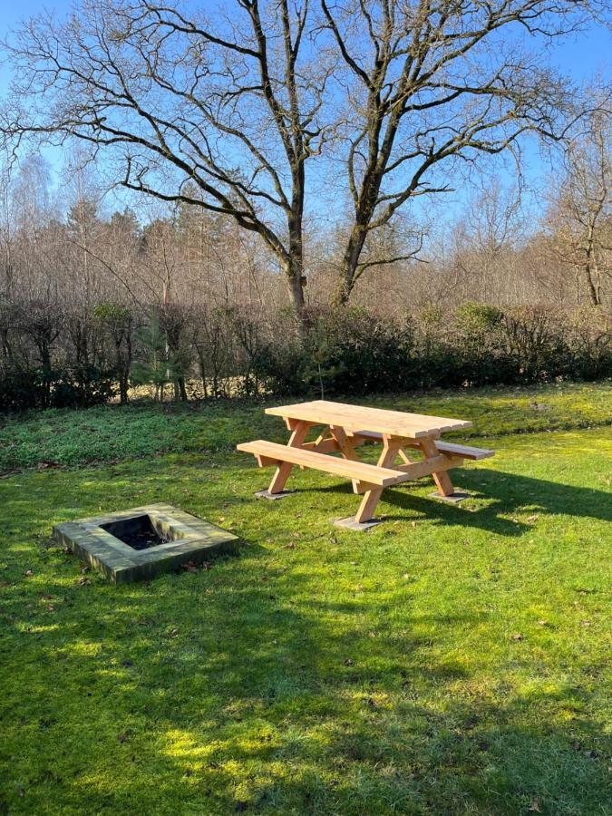 Vakantiehuis Eikzicht Gelegen Aan Het Bos Elsloo  Extérieur photo